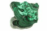 Flowery Polished Malachite Slab - DR Congo #266825-1